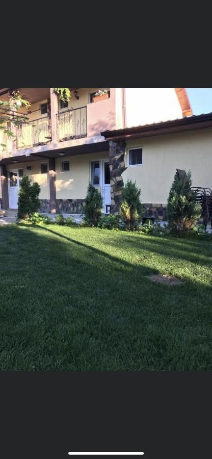 Vila Vlad 2 Mai Bagian luar foto