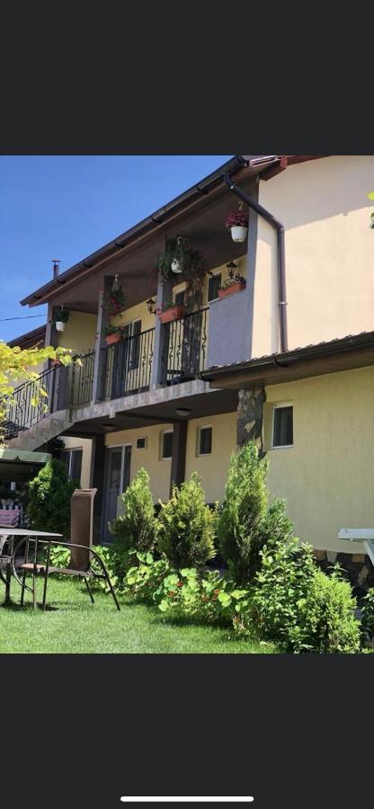 Vila Vlad 2 Mai Bagian luar foto